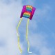 Drak SLED Beach Kite | Butterfly