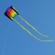 Drak SLED Beach Kite | Prism