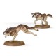 Fenrisian Wolf Pack
