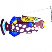 Triggerfish