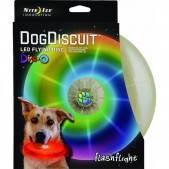 Flashflight Dog Disco