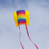 Drak SLED Beach Kite | Rainbow